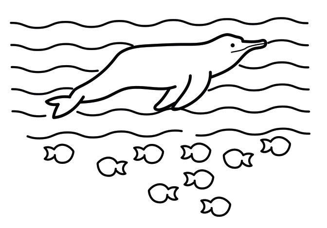 Illustration of a dolphin swimming above a large shoal of fish