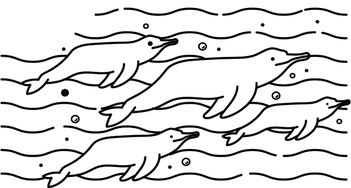 Illustration of a pod of dolphins