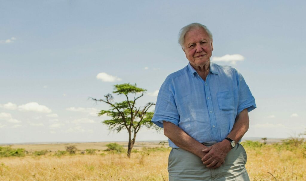 Sir David Attenborough stands in an African landscape