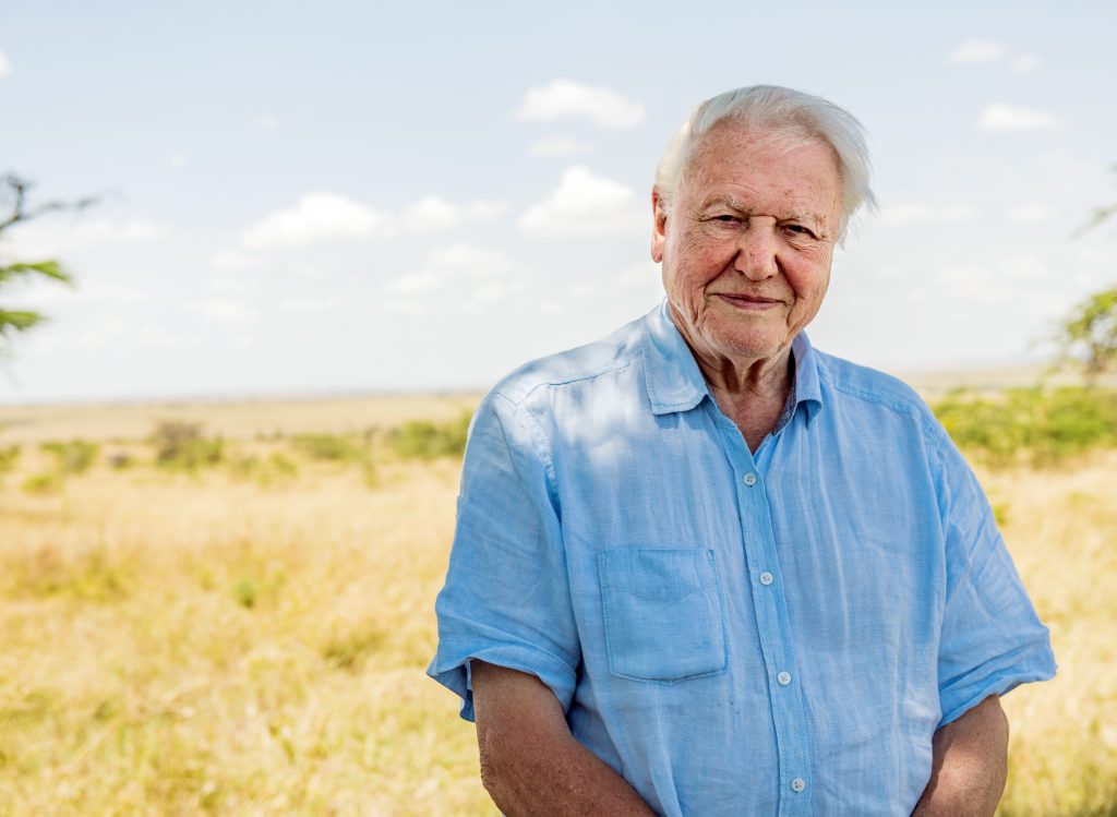 A photograph of Sir David Attenborough standing in an African landscape