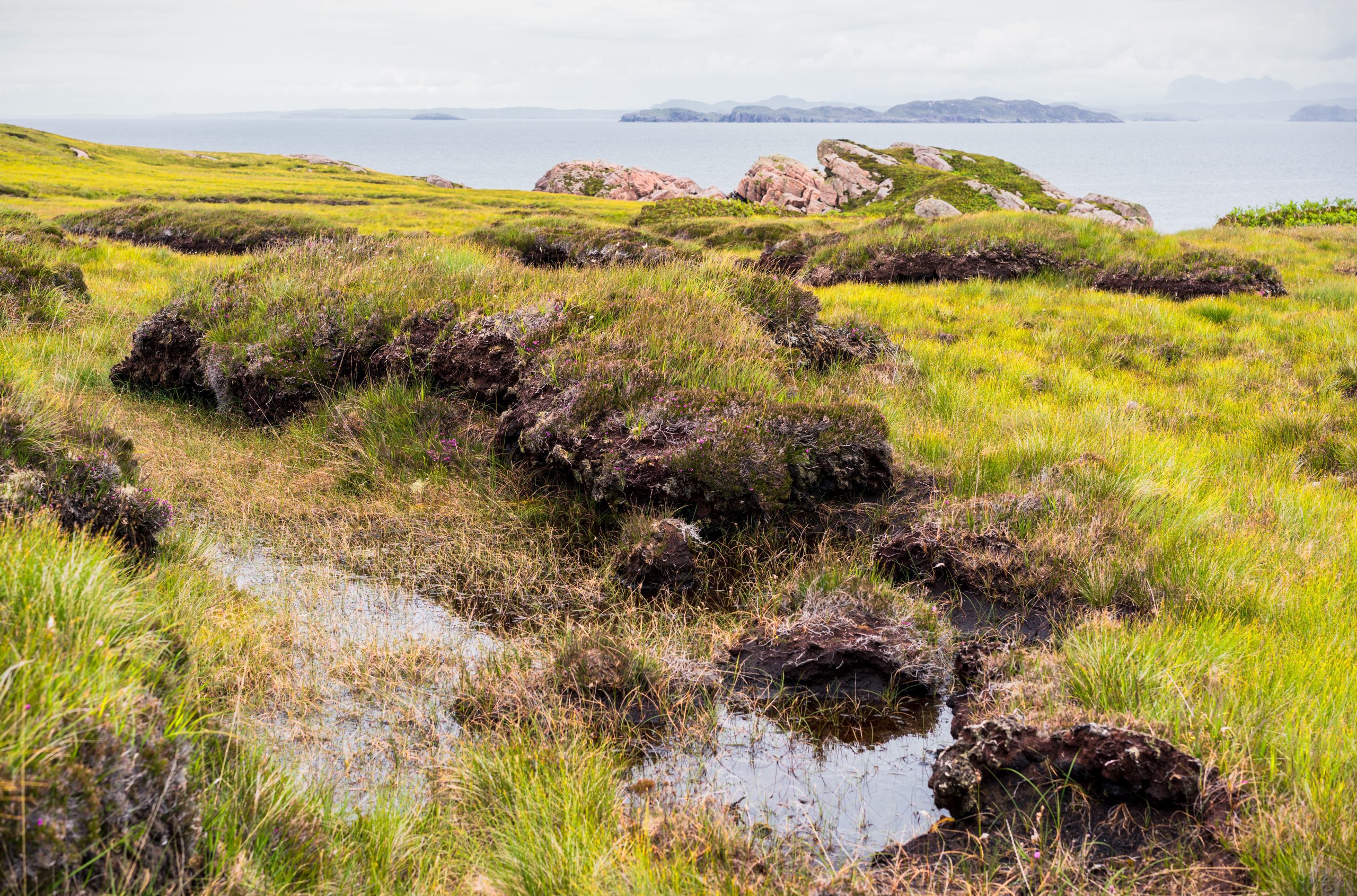 Coastal landscape of Scottish peat hags