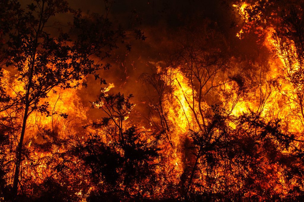 Night shot of raging forest fire