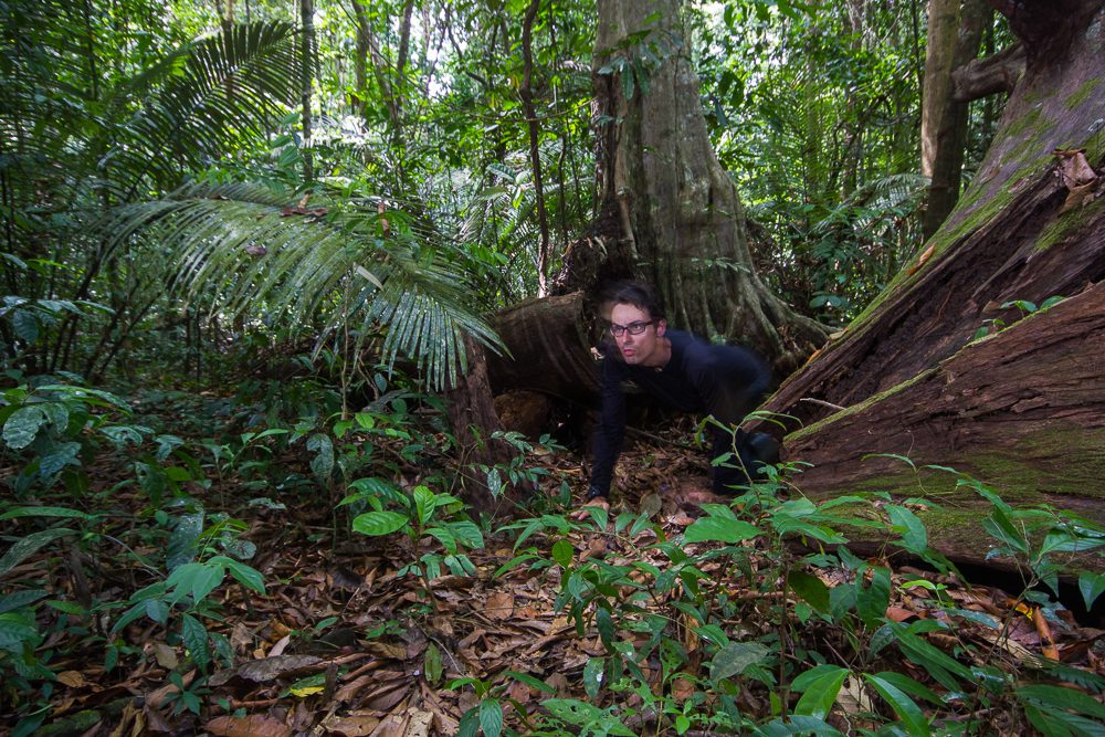 Photograph of photographer Emmanuel as he pretends to be a jaguar by crouching on the trail to make sure the camera captures the jaguars in focus