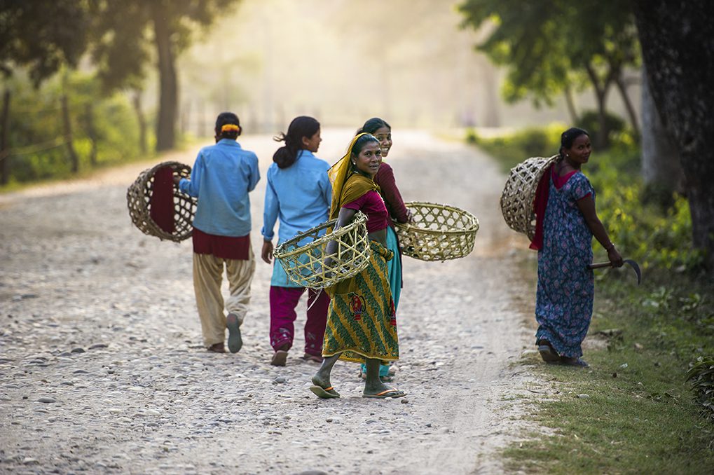 Women carry baskets along a gravel road through a forest in Nepal