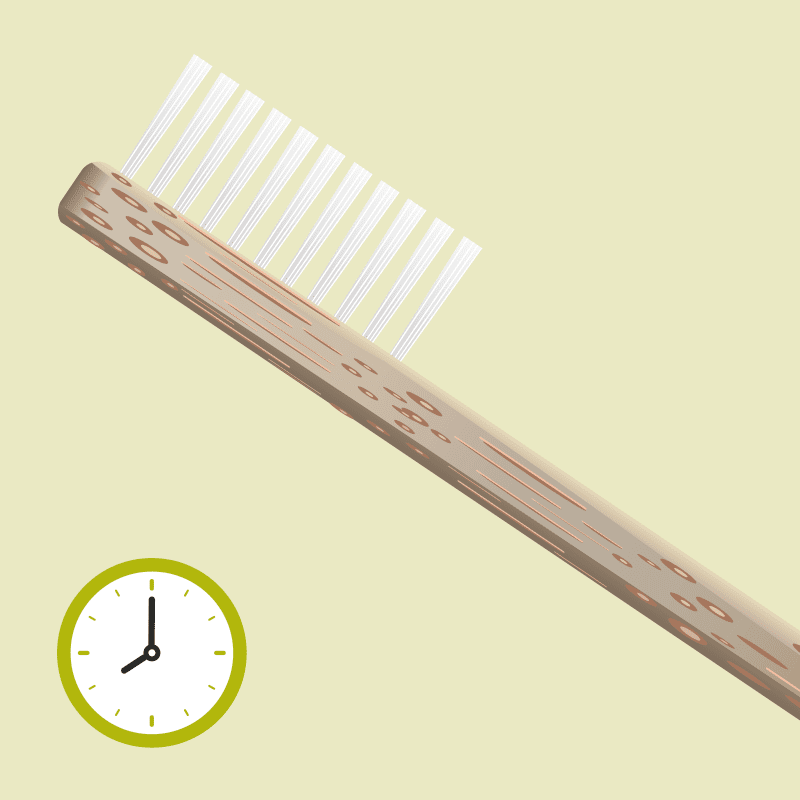 Illustration of a toothbrush made from sustainable materials 