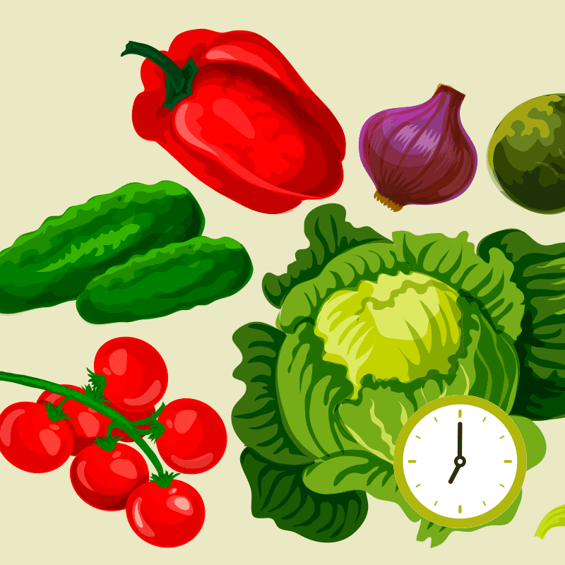 Illustration of a red pepper, cucumbers, tomatoes, cabbage and a red onion
