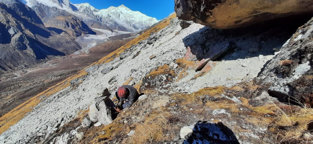 A man installs a camera trap near a possible snow leopard scent-marking site