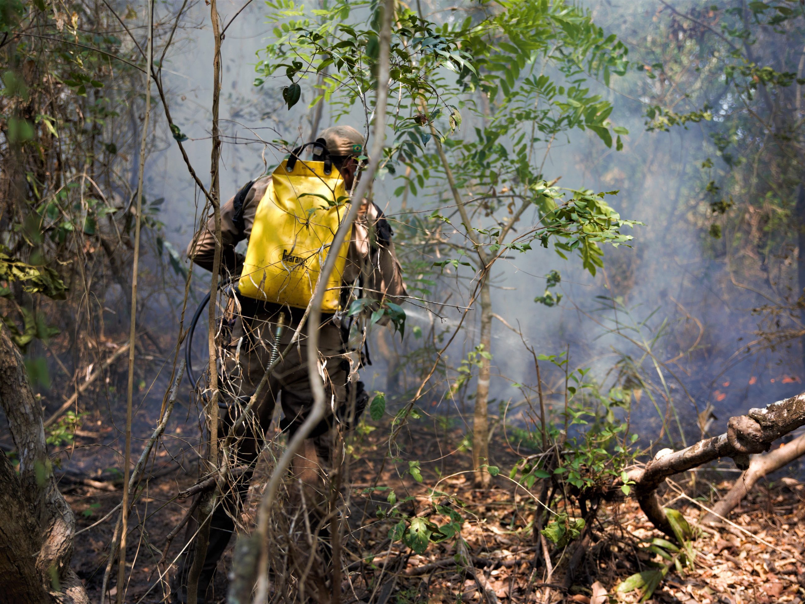 A wildfire moves through a forest in Brazil