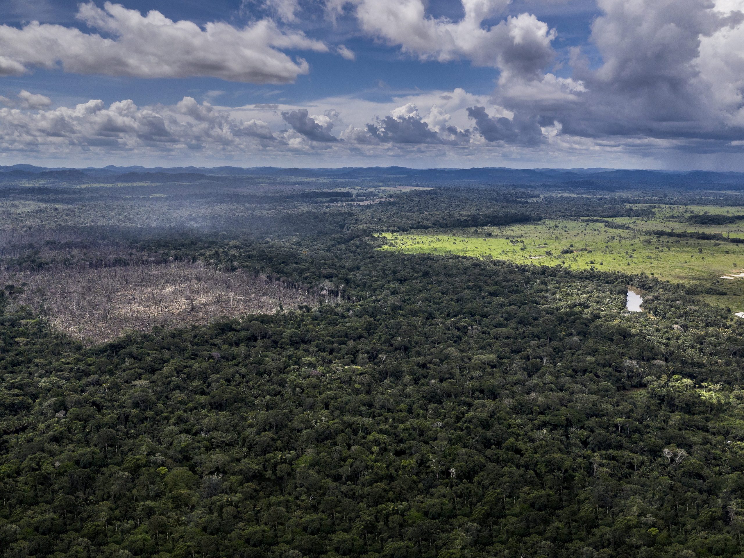 Photograph showing illegal deforestation in the Amazon