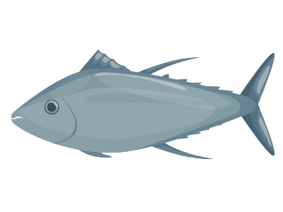 Illustration of a fish