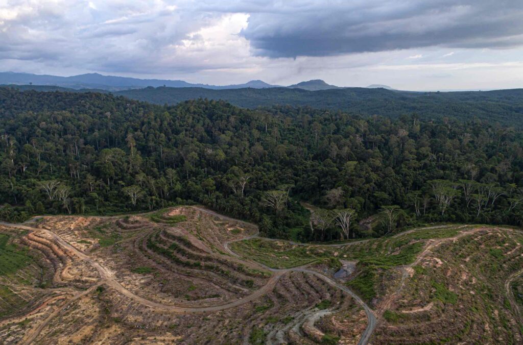 An aerial shot showing a large area of Malaysian rainforest that's been cut down