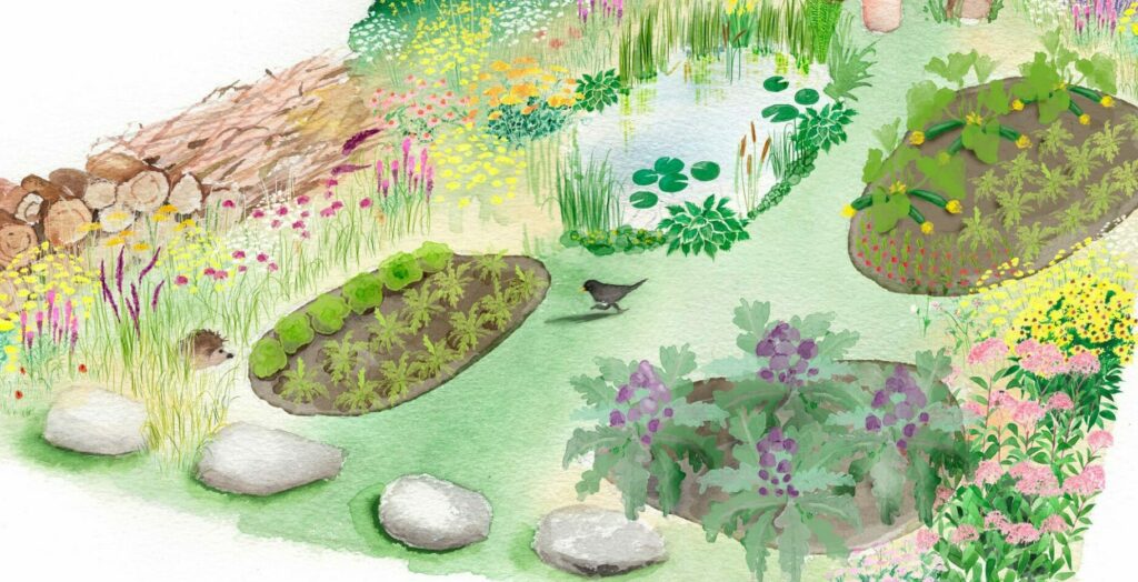 An illustration of a spring vegetable garden