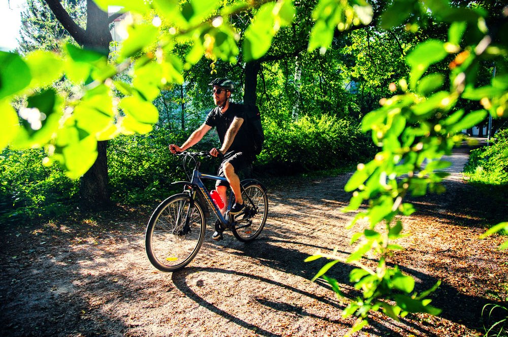 A man rides a bicyle along a woodland path