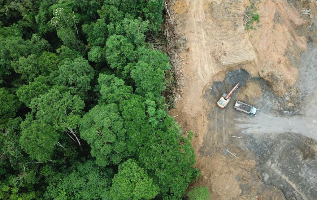 An aerial shot of forests being cleared for oil palm plantations