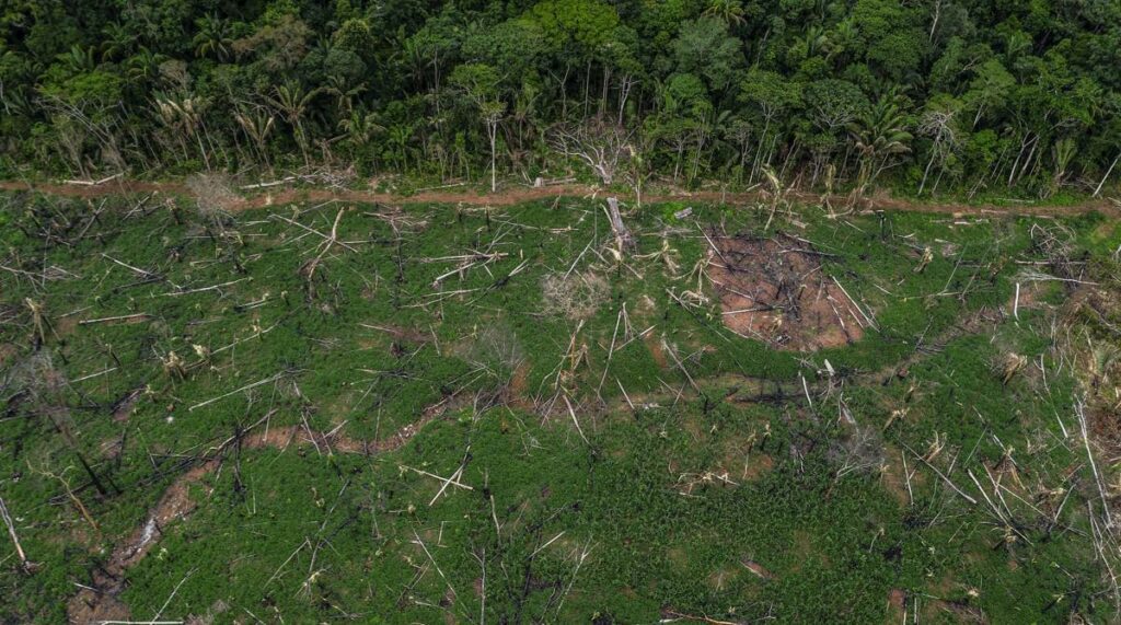 An aerial photograph of a deforested area of the Amazon