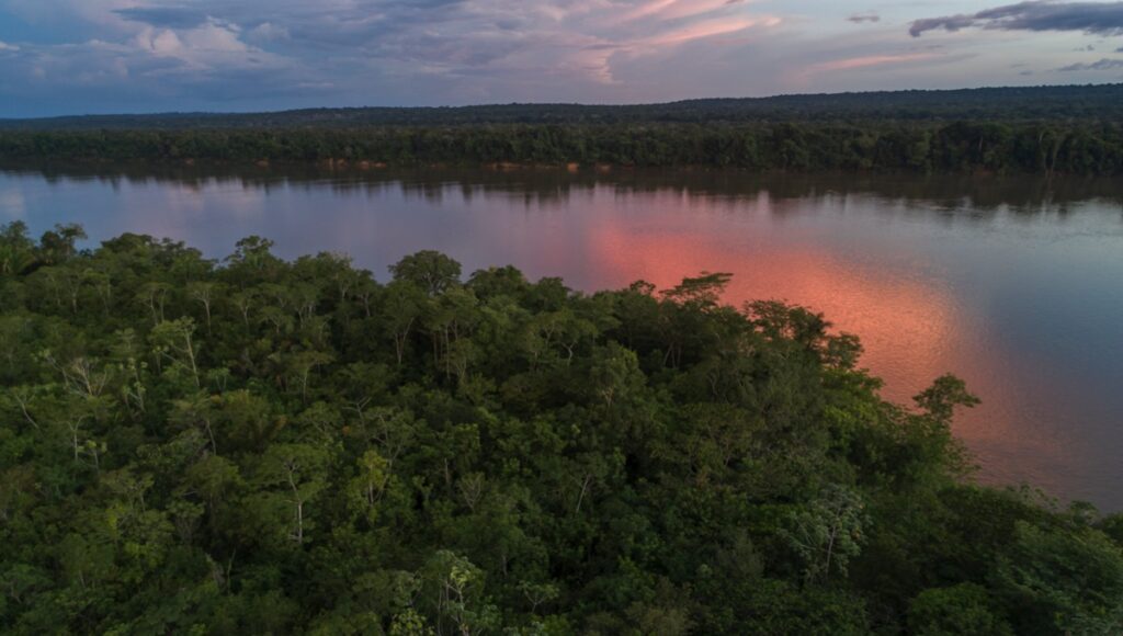 An aerial photograph of the Amazon river