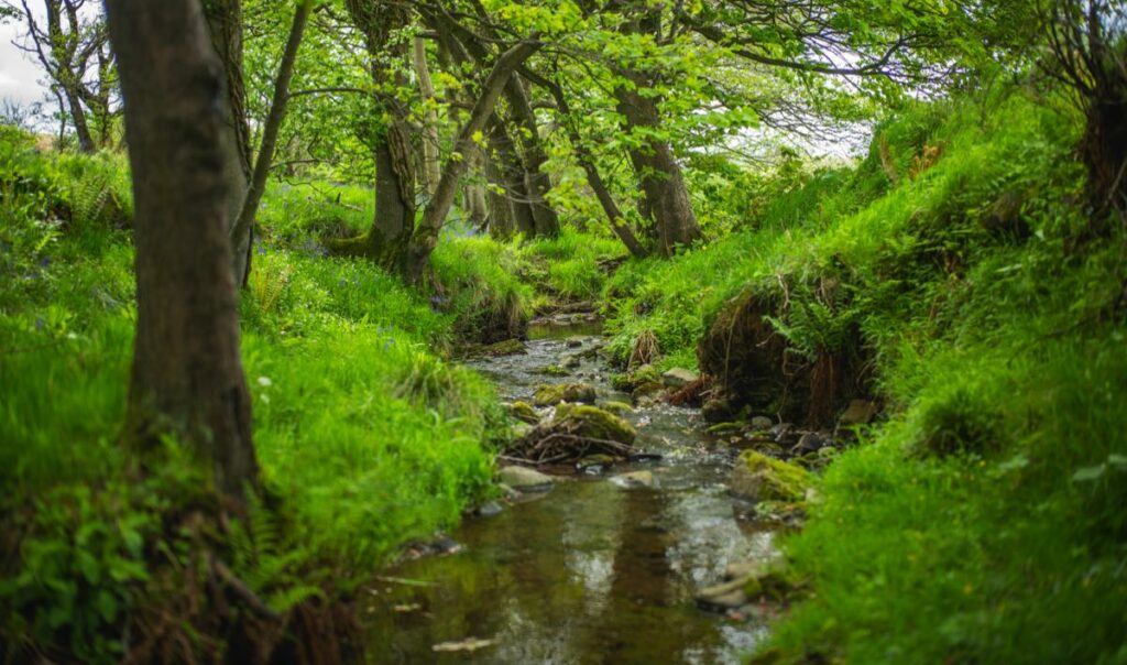 A stream runs through lush farmland at Littleton Farm in Scotland