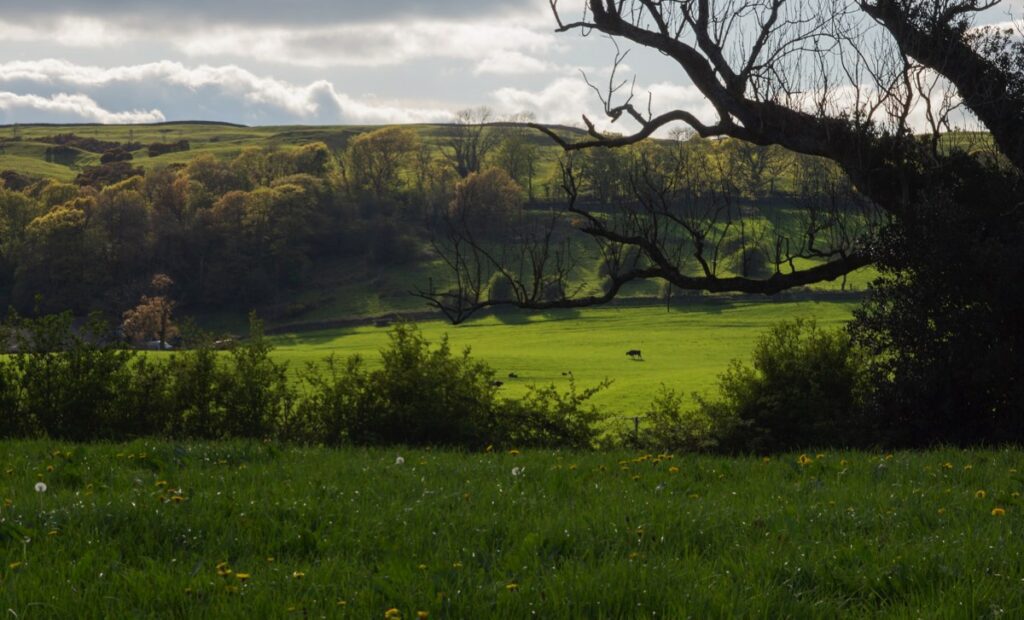 A view of rolling farmland