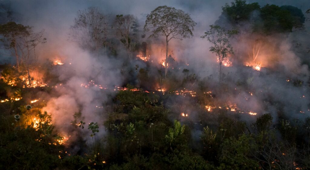 Blazing trees burn brightly against thick smoke in the Amazon