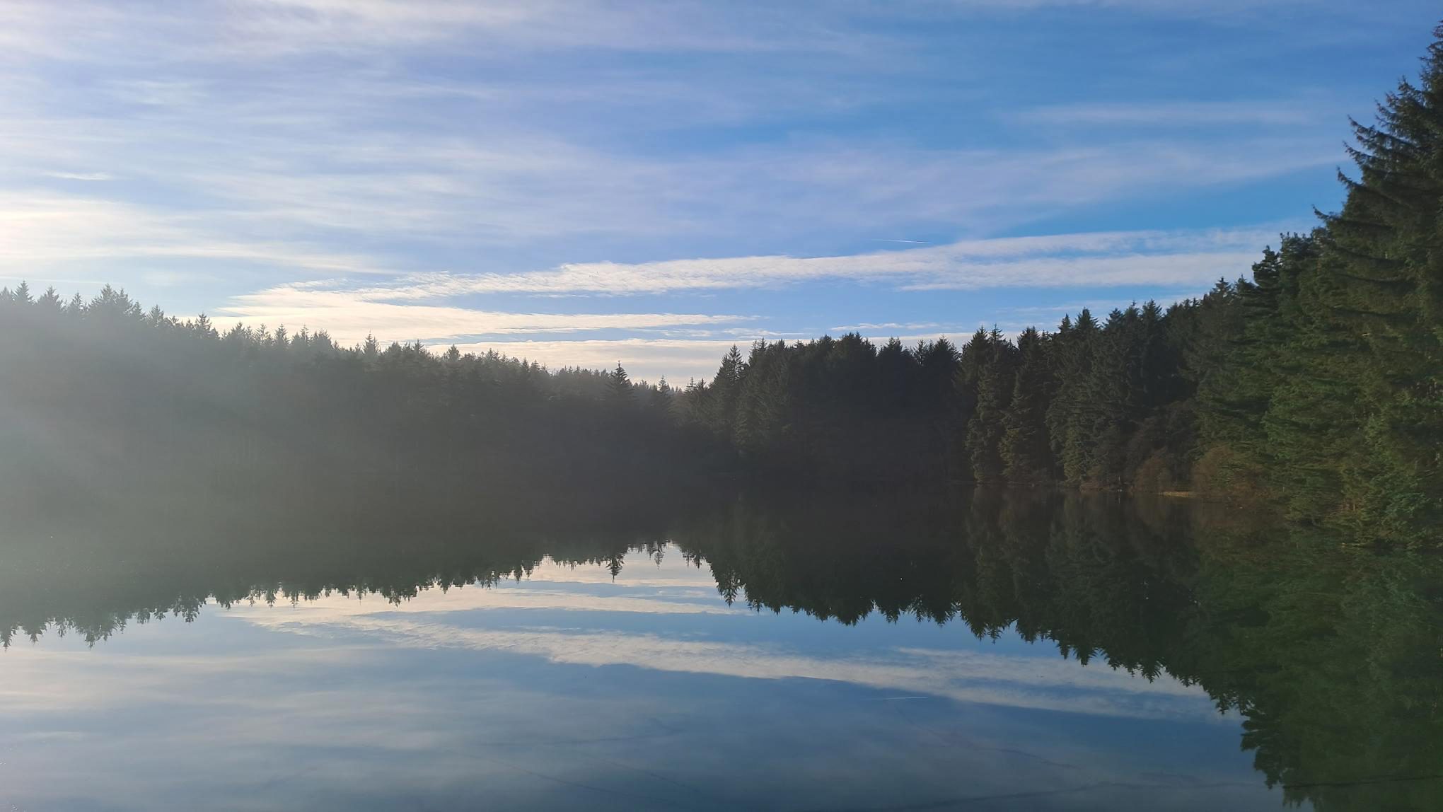 Martha Swan, Beecraigs Loch, West Lothian
Suzie says: “This is a perfect mirrored image of the treeline reflected in the water, bringing a sense of tranquility and calm.”