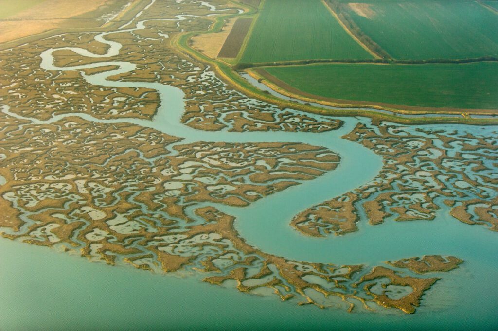 An aerial photograph of tidal saltmarsh and agricultural land in Essex