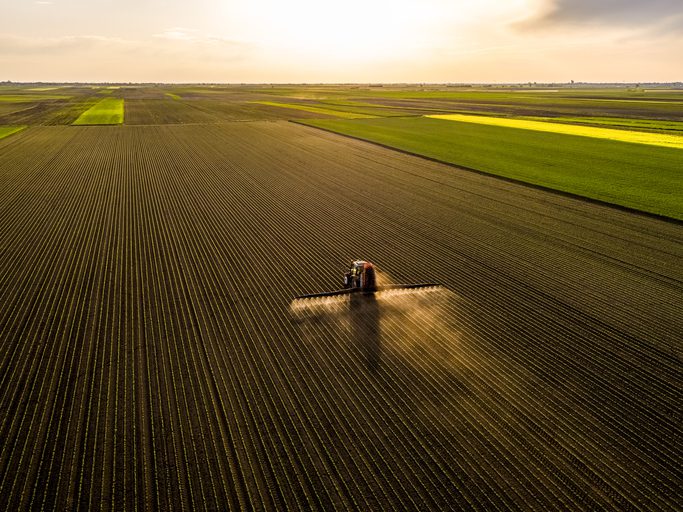 Aerial shot of a farmer in tractor spraying soybean crops