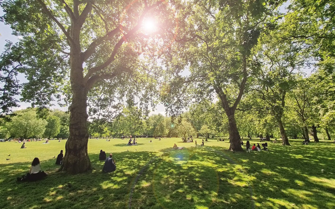 People sitting on the grass in Green Park in London as the sun shines through the trees