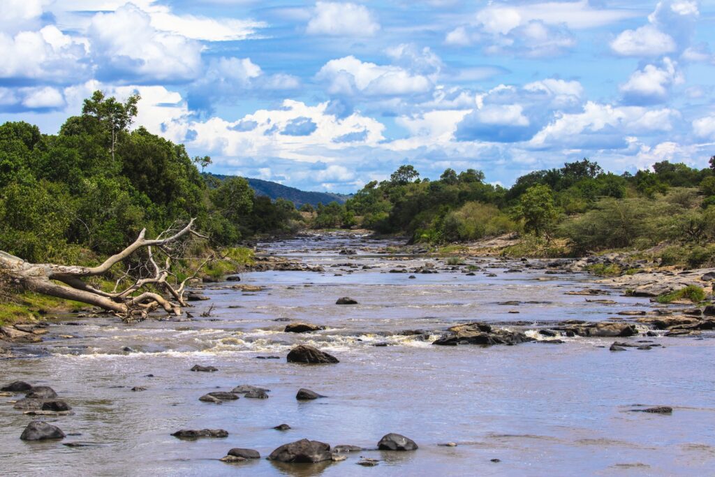 Panoramic view of the Mara River
