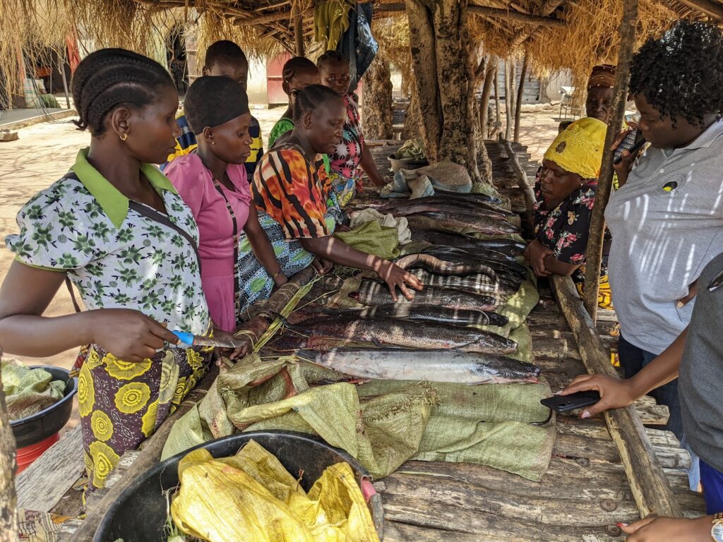A group of women sell fish at a market stall