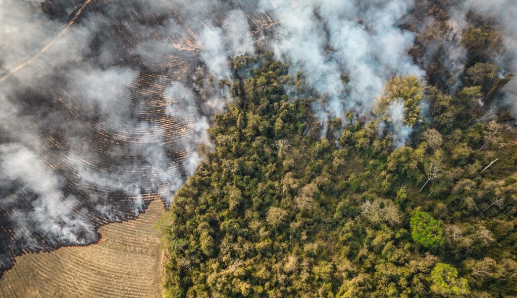 Smoke rises above farmland and trees on fire in Sao Paulo state, Brazil