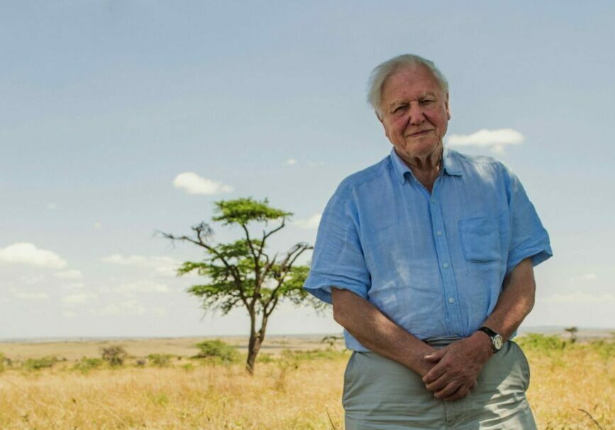 Sir David Attenborough stands in an African landscape