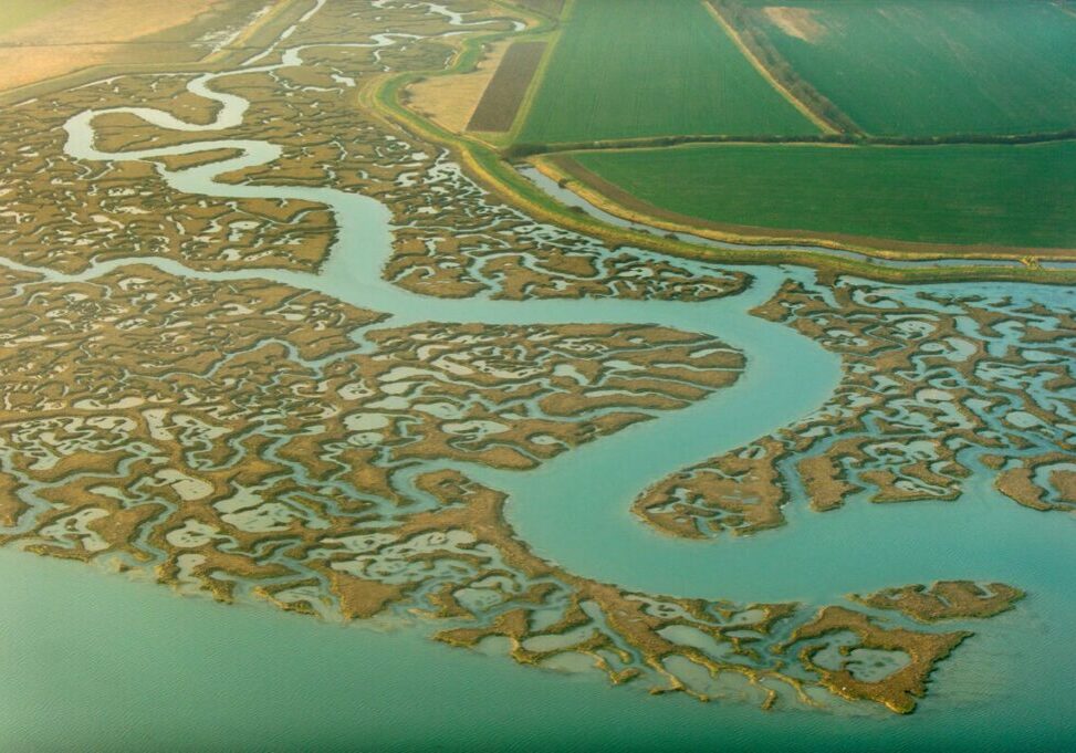 An aerial photograph of tidal saltmarsh and agricultural land in Essex
