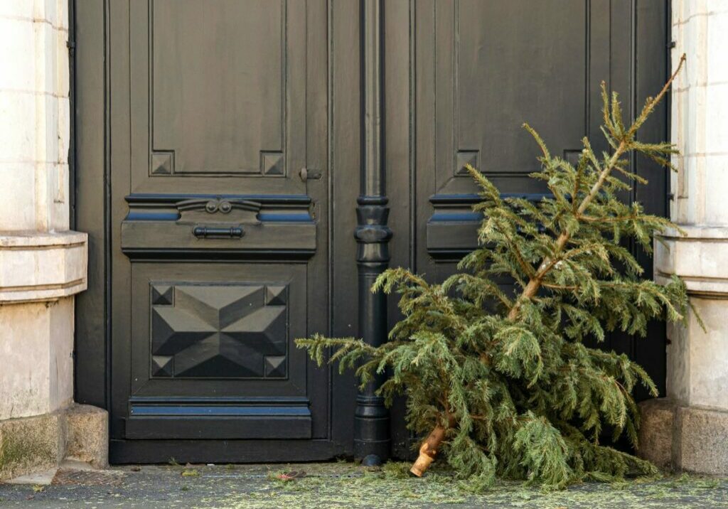 A discarded Christmas tree is propped outside a front door, with needles around it on the pavement
