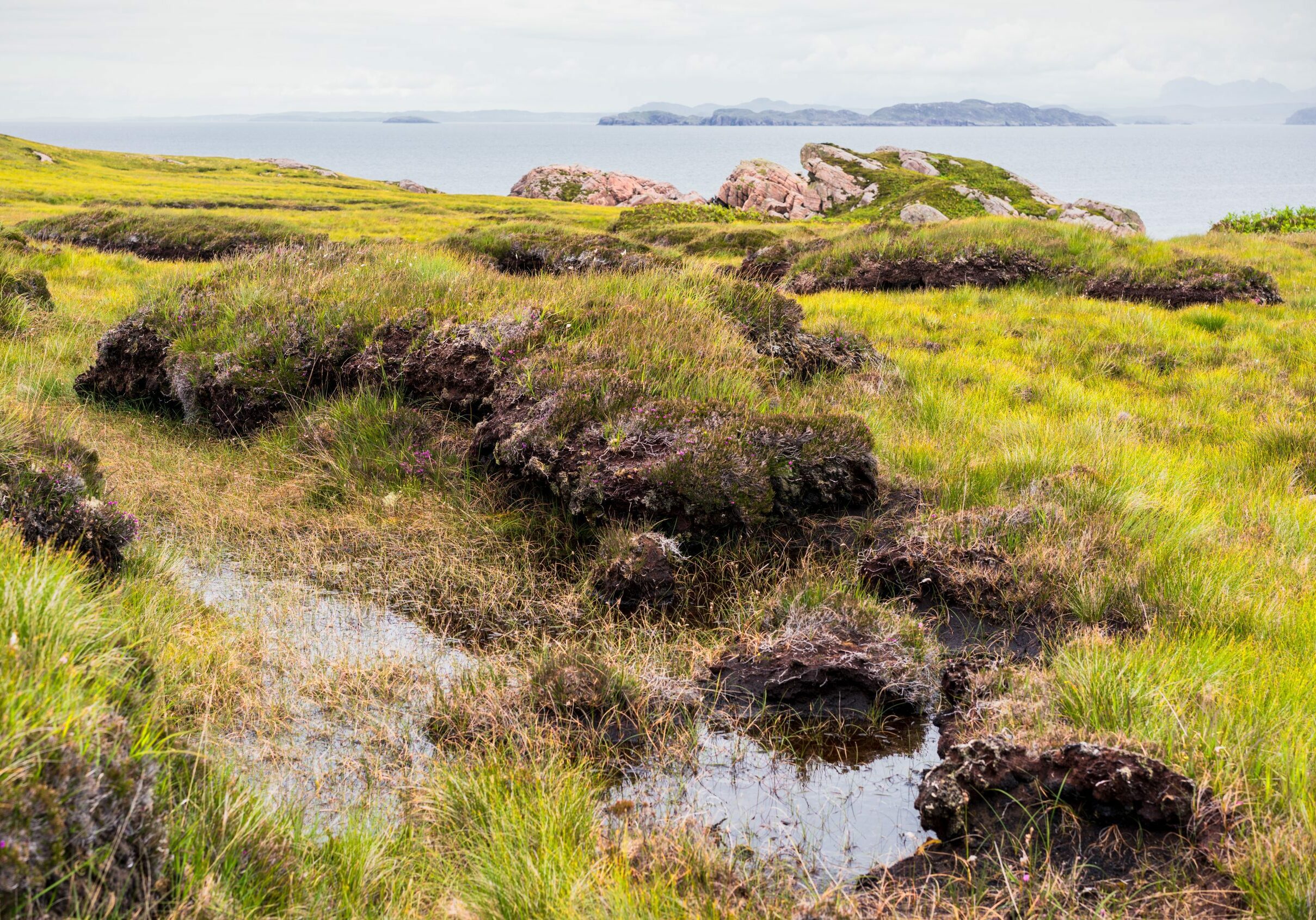 Coastal landscape of Scottish peat hags