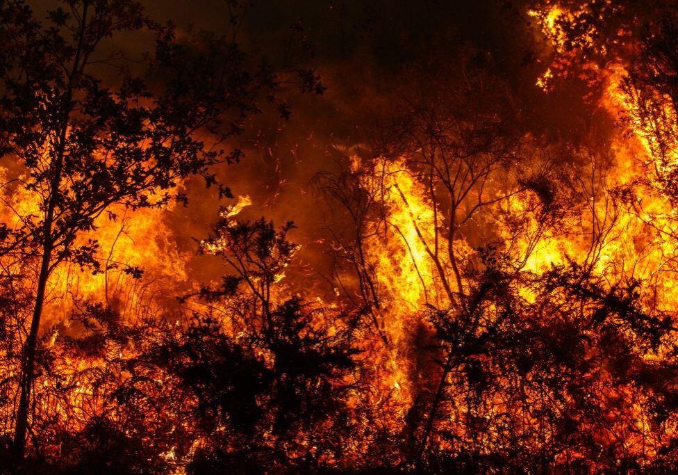 Night shot of raging forest fire