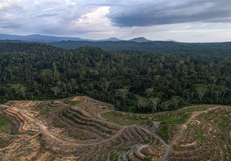 An aerial shot showing a large area of Malaysian rainforest that's been cut down