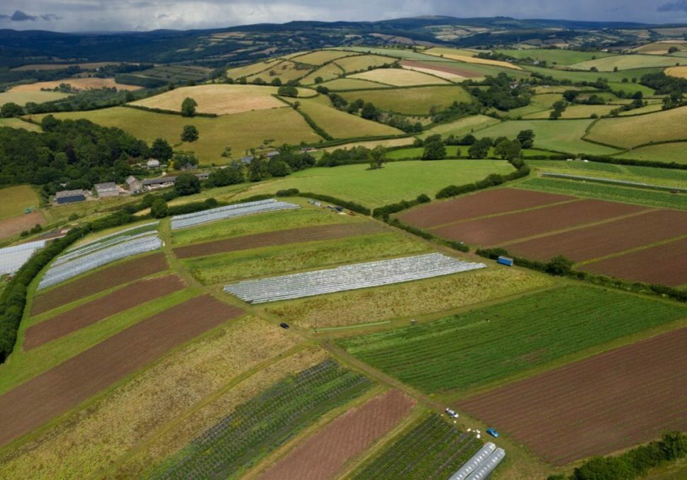 An aerial view of Riverford farm in Devon