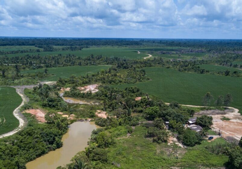 An aerial shot showing a patch of cleared land in the Amazon