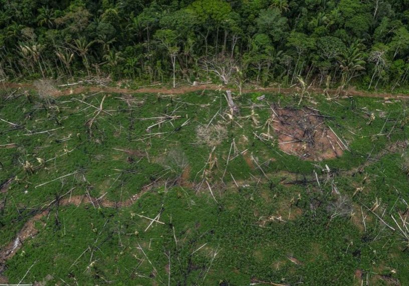 An aerial photograph of a deforested area of the Amazon