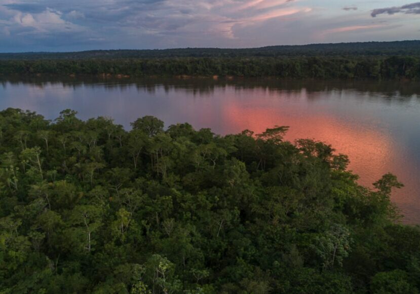 An aerial photograph of the Amazon river