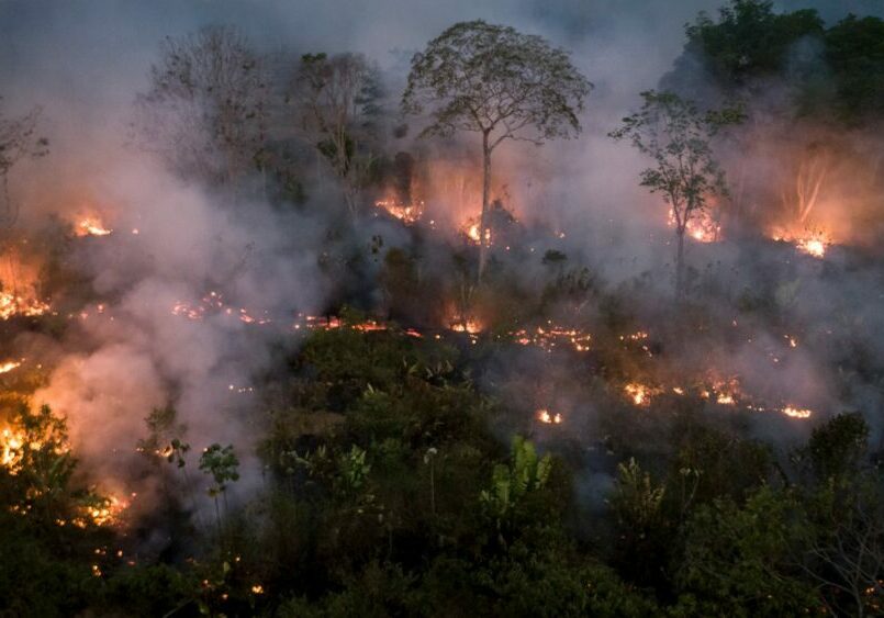Blazing trees burn brightly against thick smoke in the Amazon