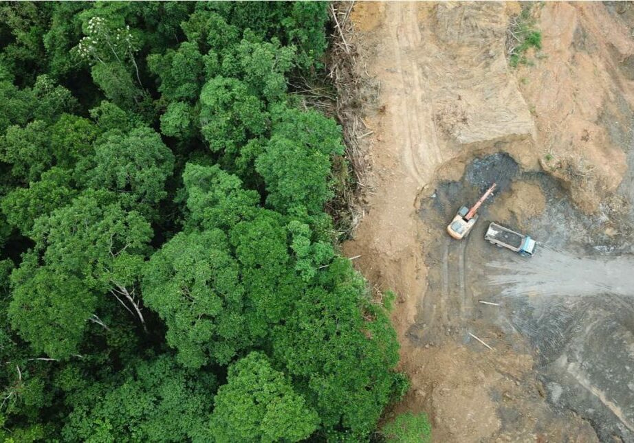 An aerial shot of forests being cleared for oil palm plantations