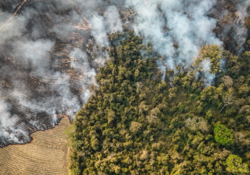 Smoke rises above farmland and trees on fire in Sao Paulo state, Brazil