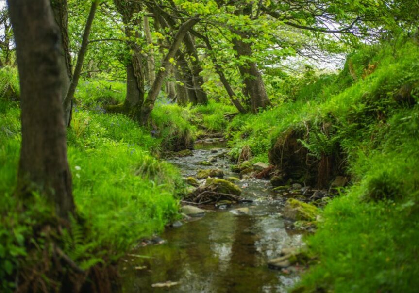 A stream runs through lush farmland at Littleton Farm in Scotland