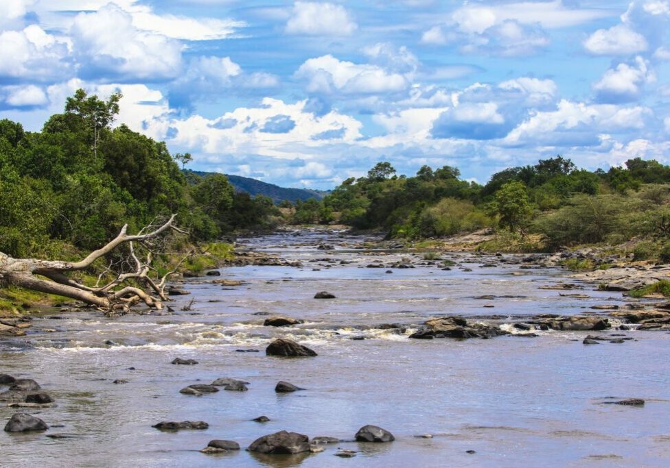 Panoramic view of the Mara River