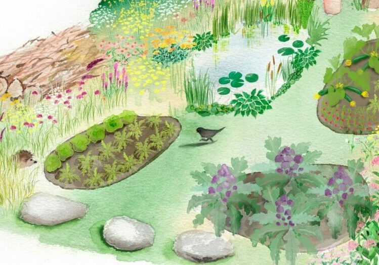 An illustration of a spring vegetable garden