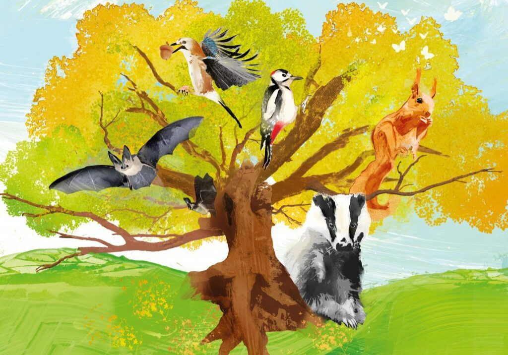 An illustration of a tree that's home to a variety of UK wildlife